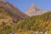 20061030_110700 Alpe Cermine e Pizzaccio.jpg